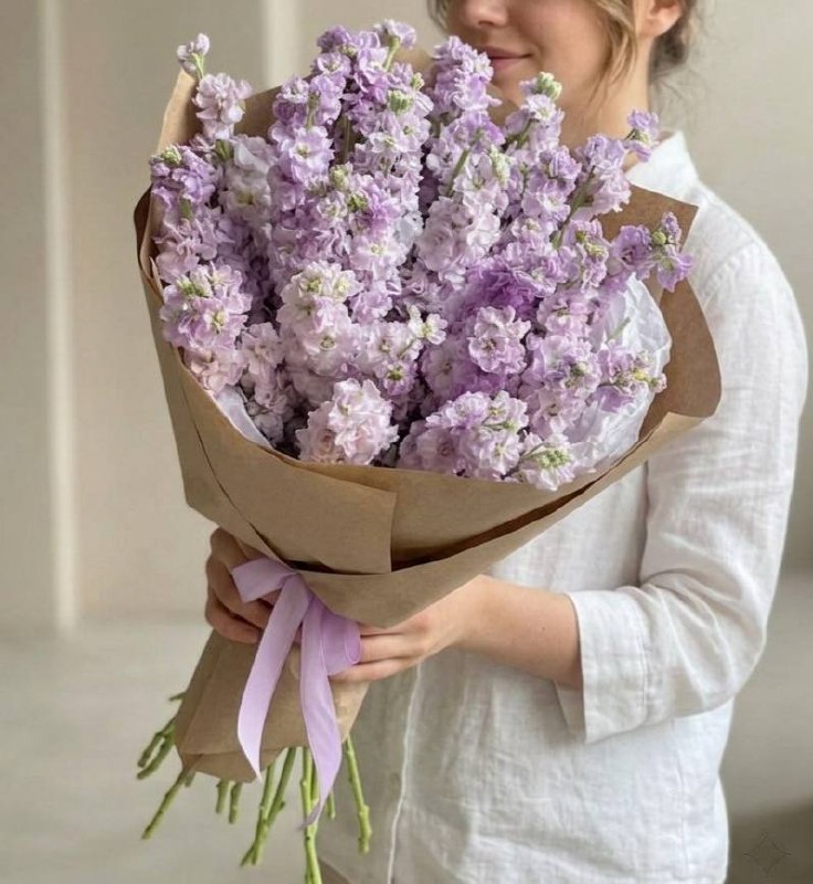 Моно-букет из фиолетовой маттиолы